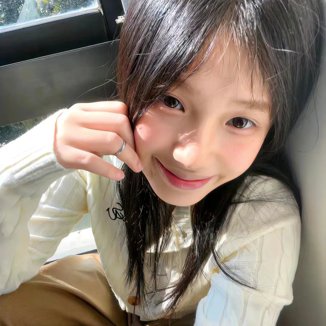 新十二生肖