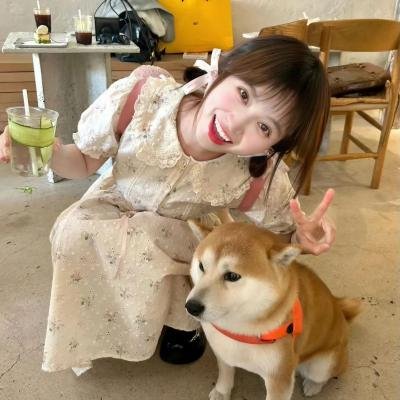 坠恶真相